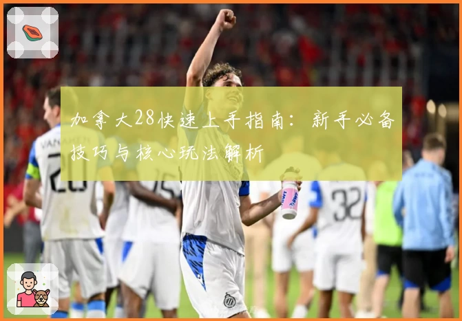 加拿大28快速上手指南：新手必备技巧与核心玩法解析