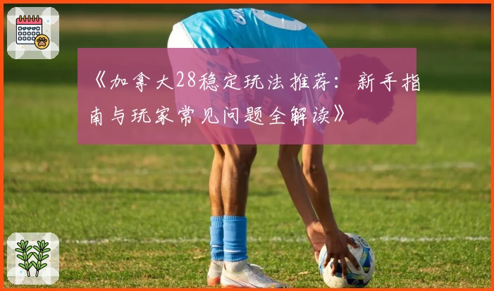 《加拿大28稳定玩法推荐：新手指南与玩家常见问题全解读》