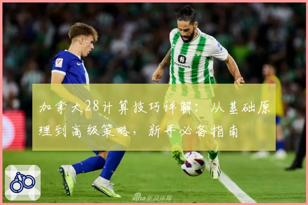 加拿大28计算技巧详解：从基础原理到高级策略，新手必备指南