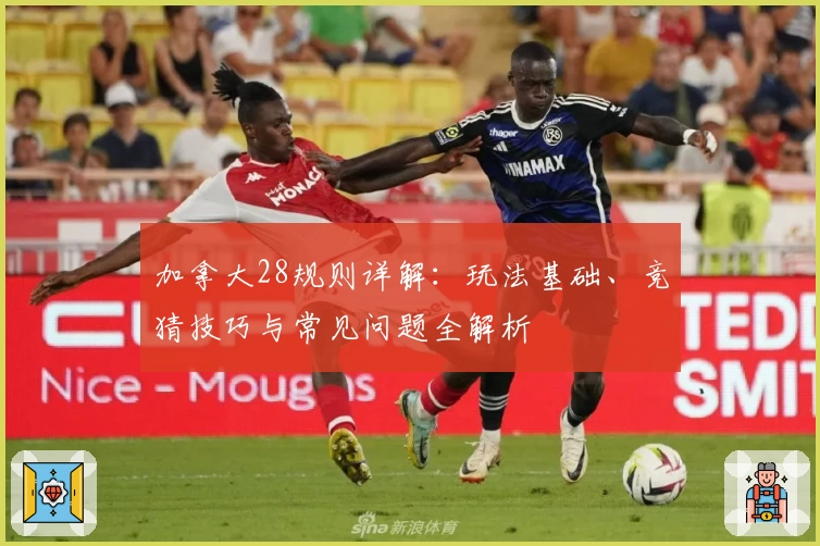 加拿大28规则详解：玩法基础、竞猜技巧与常见问题全解析