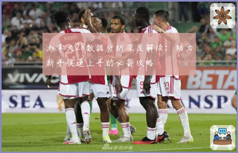 加拿大28数据分析深度解读：助力新手快速上手的必备攻略