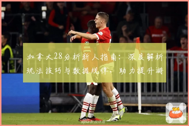 加拿大28分析新人指南：深度解析玩法技巧与数据规律，助力提升游戏体验