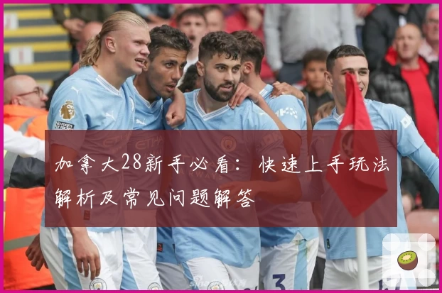 加拿大28新手必看：快速上手玩法解析及常见问题解答