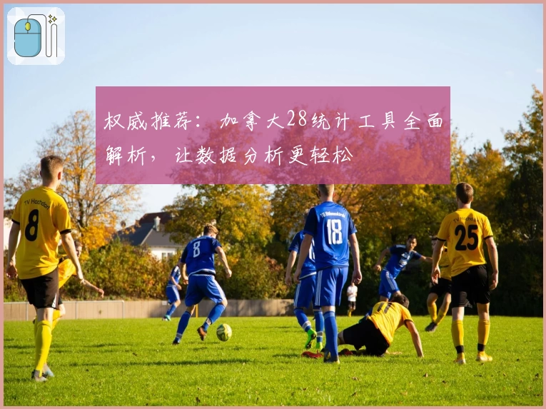 权威推荐：加拿大28统计工具全面解析，让数据分析更轻松