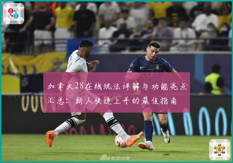 加拿大28在线玩法详解与功能亮点汇总：新人快速上手的最佳指南