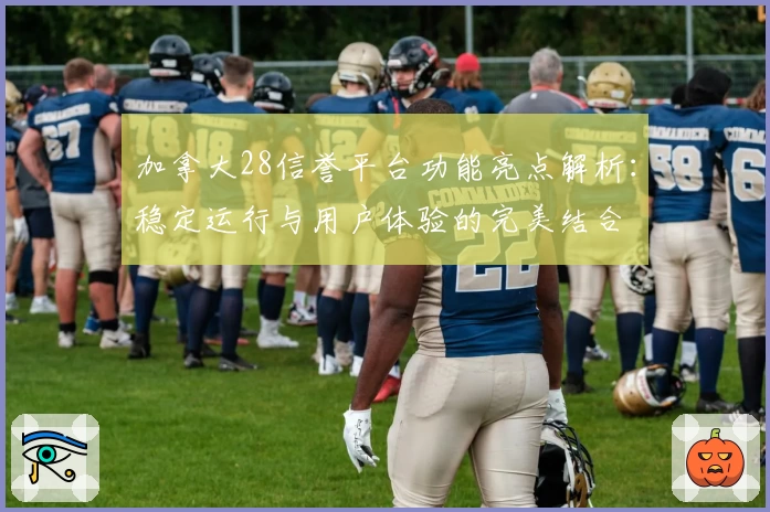 加拿大28信誉平台功能亮点解析：稳定运行与用户体验的完美结合