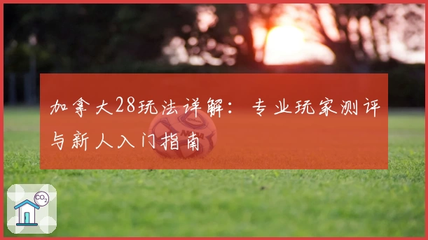 加拿大28玩法详解：专业玩家测评与新人入门指南