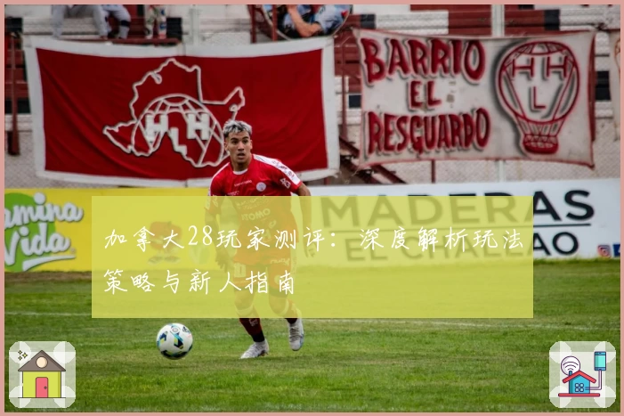 加拿大28玩家测评：深度解析玩法策略与新人指南