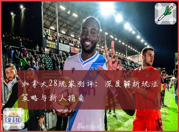 加拿大28玩家测评：深度解析玩法策略与新人指南