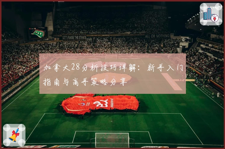 加拿大28分析技巧详解：新手入门指南与高手策略分享