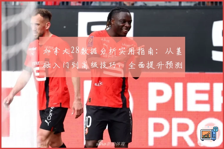 加拿大28数据分析实用指南：从基础入门到高级技巧，全面提升预测准确率