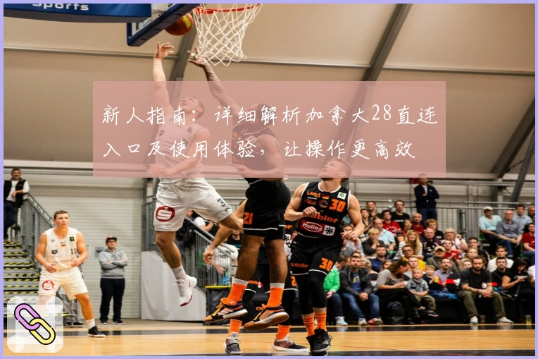 新人指南：详细解析加拿大28直连入口及使用体验，让操作更高效