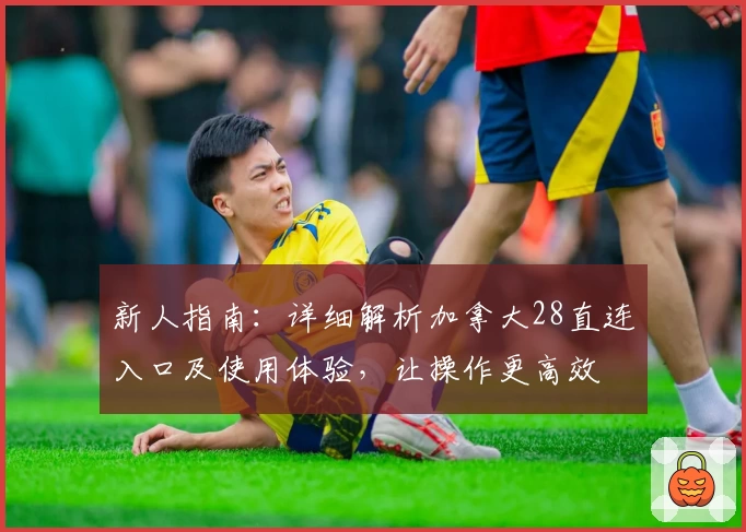 新人指南：详细解析加拿大28直连入口及使用体验，让操作更高效