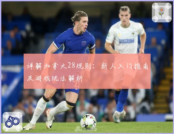 详解加拿大28规则：新人入门指南及游戏玩法解析