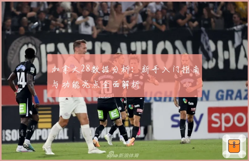 加拿大28数据分析：新手入门指南与功能亮点全面解析