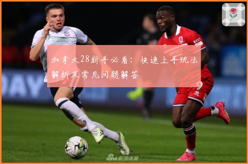 加拿大28新手必看：快速上手玩法解析及常见问题解答