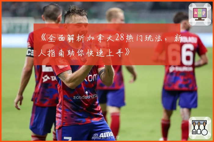 《全面解析加拿大28热门玩法，新人指南助你快速上手》