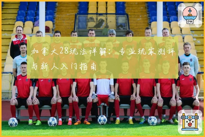 加拿大28玩法详解：专业玩家测评与新人入门指南