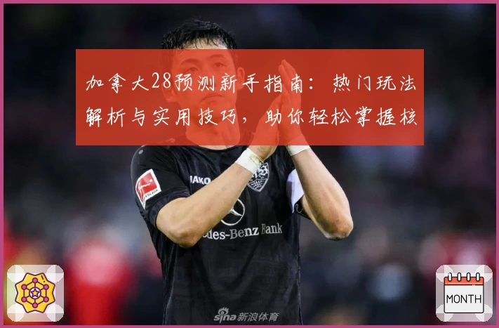加拿大28预测新手指南：热门玩法解析与实用技巧，助你轻松掌握核心规律