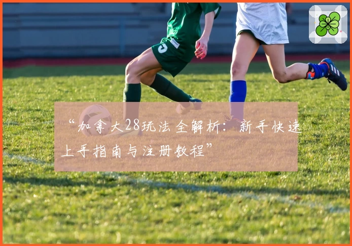 “加拿大28玩法全解析：新手快速上手指南与注册教程”