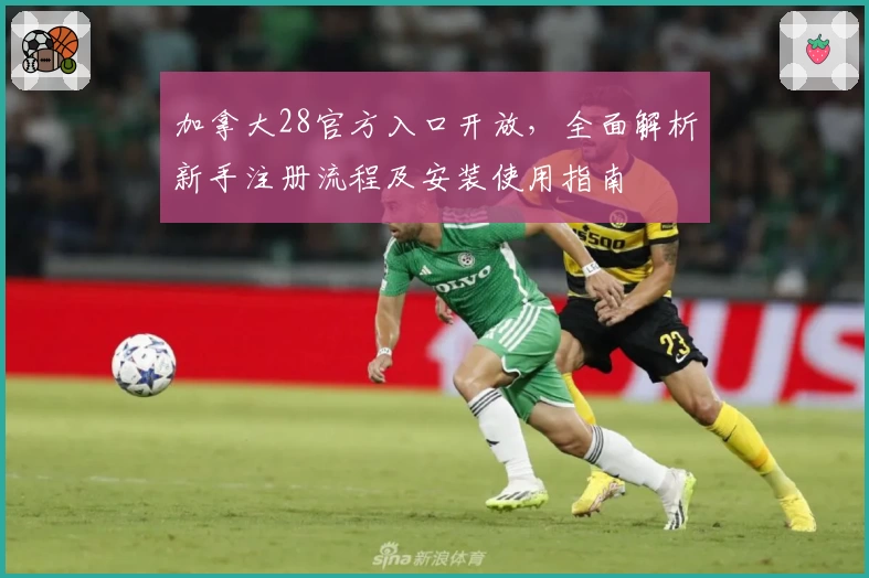 加拿大28官方入口开放，全面解析新手注册流程及安装使用指南