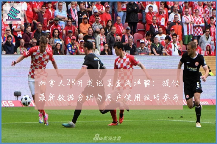 加拿大28开奖记录查询详解：提供最新数据分析与用户使用技巧参考