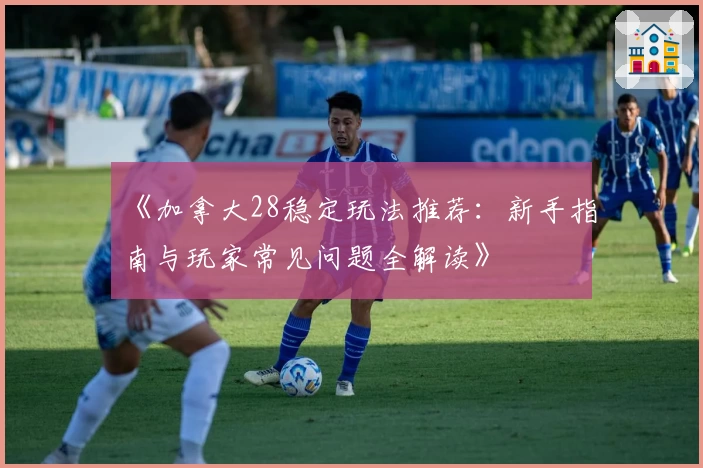 《加拿大28稳定玩法推荐：新手指南与玩家常见问题全解读》