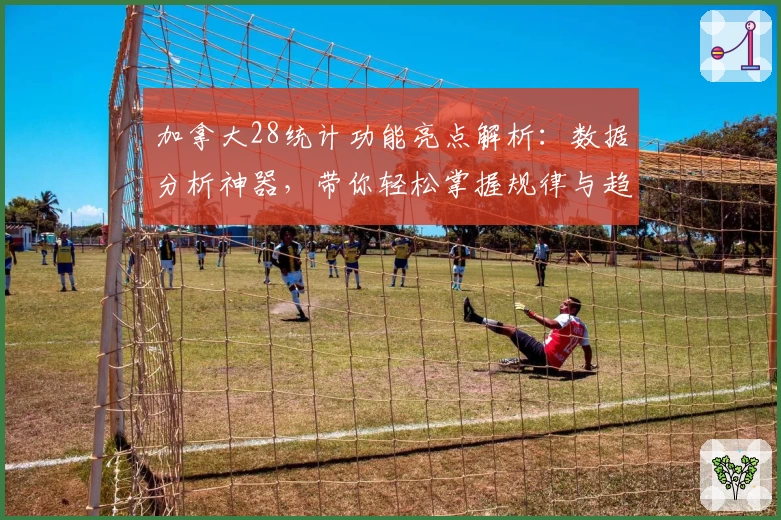 加拿大28统计功能亮点解析：数据分析神器，带你轻松掌握规律与趋势