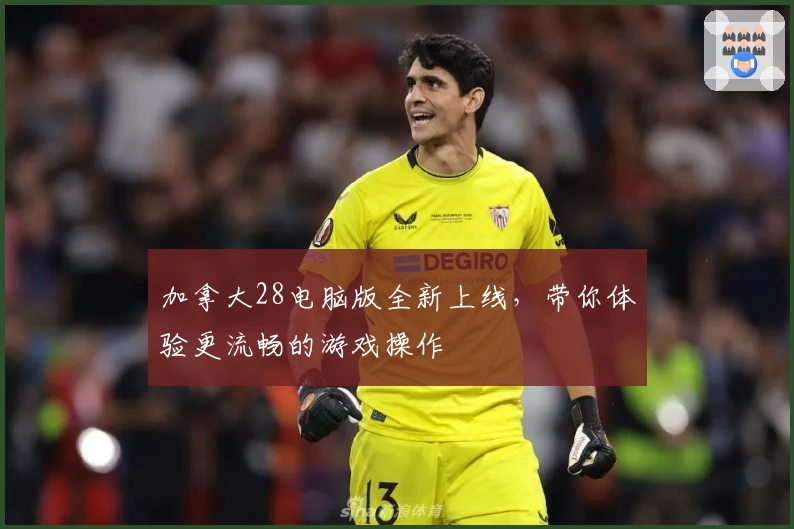 加拿大28电脑版全新上线，带你体验更流畅的游戏操作