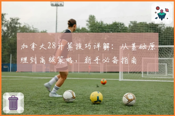 加拿大28计算技巧详解：从基础原理到高级策略，新手必备指南