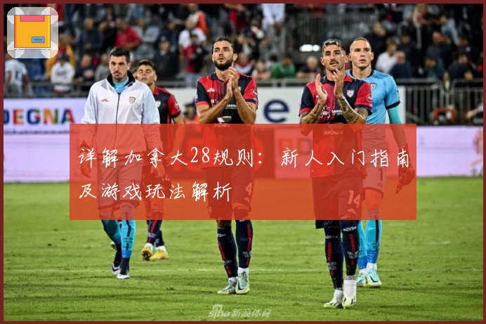 详解加拿大28规则：新人入门指南及游戏玩法解析