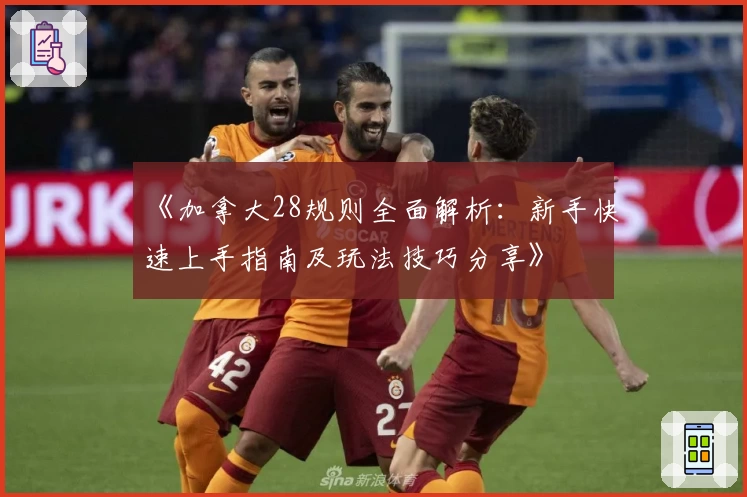 《加拿大28规则全面解析：新手快速上手指南及玩法技巧分享》