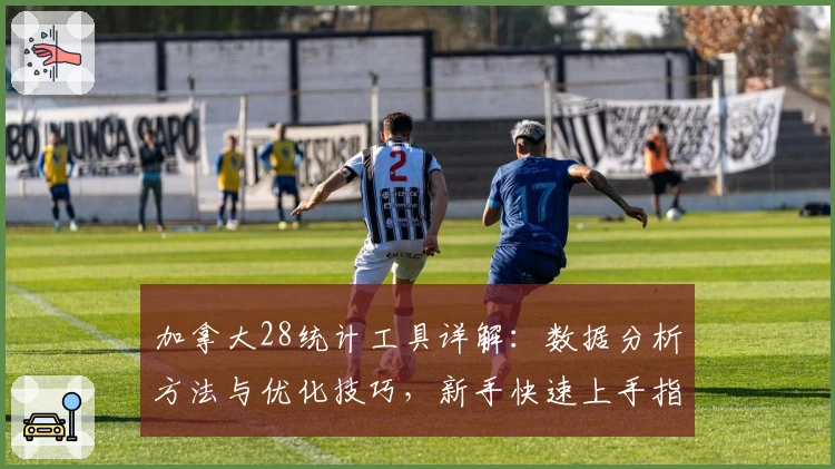 加拿大28统计工具详解：数据分析方法与优化技巧，新手快速上手指南