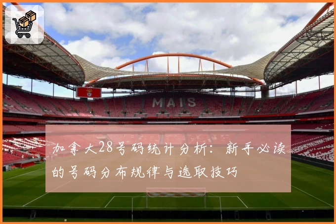 加拿大28号码统计分析：新手必读的号码分布规律与选取技巧