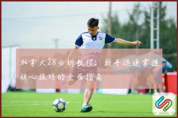 加拿大28分析教程：新手迅速掌握核心技巧的全面指南