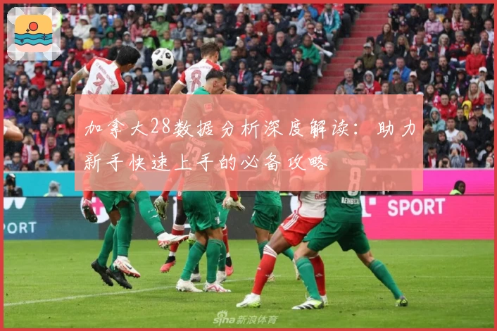 加拿大28数据分析深度解读：助力新手快速上手的必备攻略