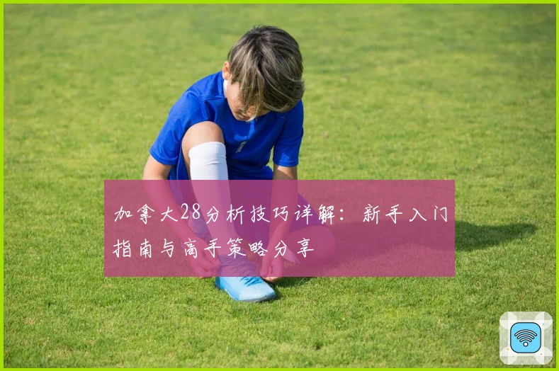 加拿大28分析技巧详解：新手入门指南与高手策略分享