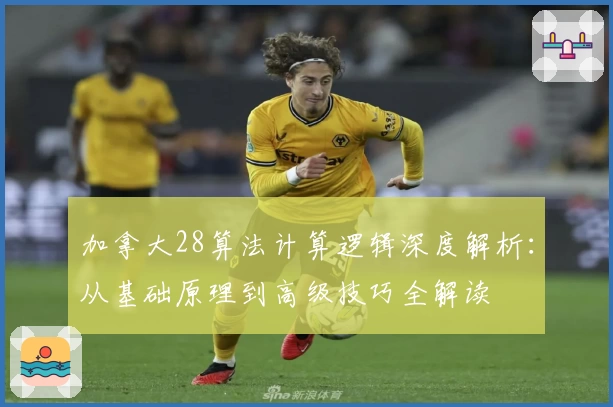 加拿大28算法计算逻辑深度解析：从基础原理到高级技巧全解读