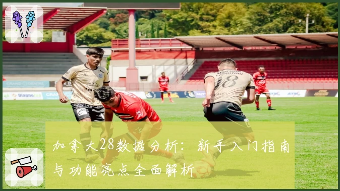 加拿大28数据分析：新手入门指南与功能亮点全面解析