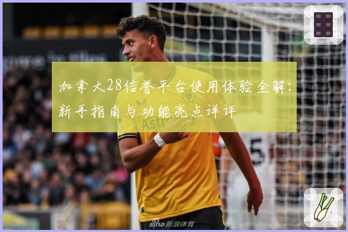 加拿大28信誉平台使用体验全解：新手指南与功能亮点详评