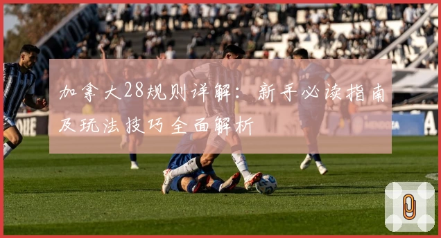 加拿大28规则详解：新手必读指南及玩法技巧全面解析