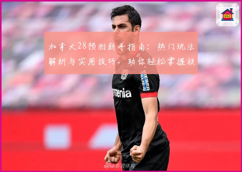 加拿大28预测新手指南：热门玩法解析与实用技巧，助你轻松掌握核心规律